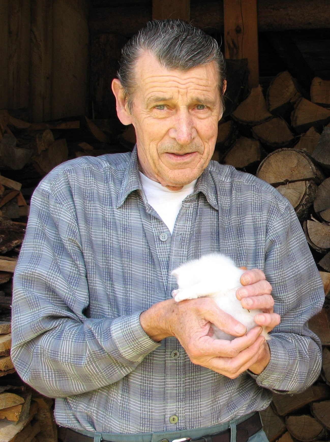 Arthur Pétrin